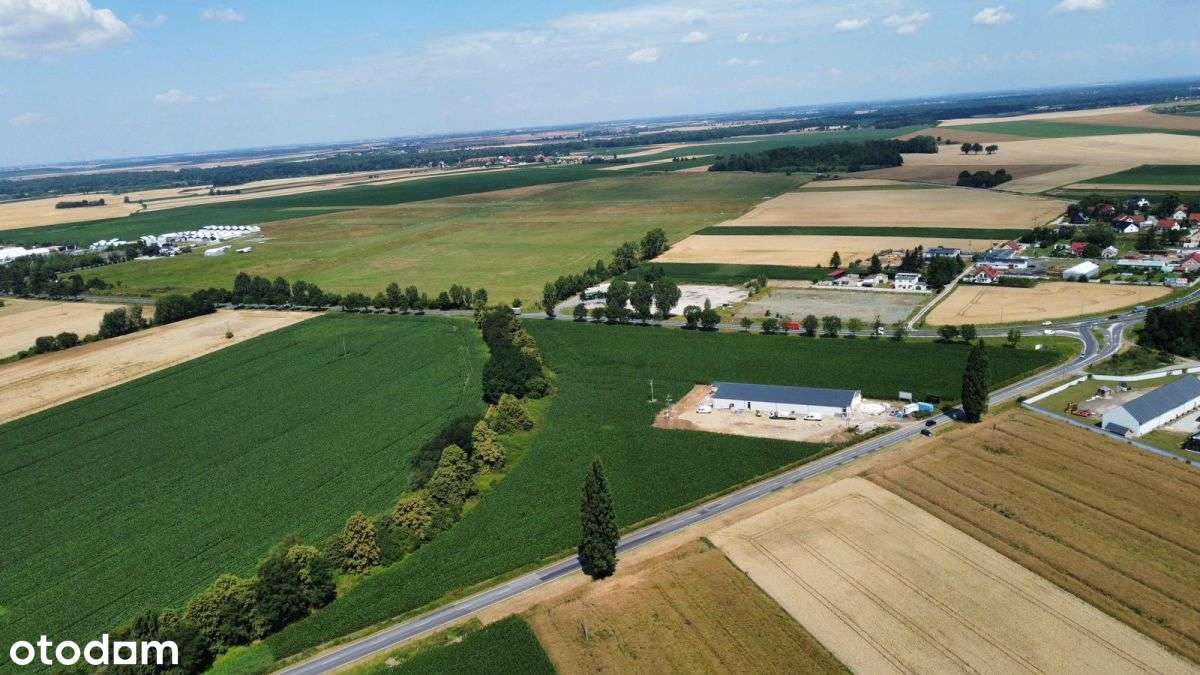 Działka 1,3ha inwestycyjne przy ruchliwej drodze - Pełny obrazek: 5/11