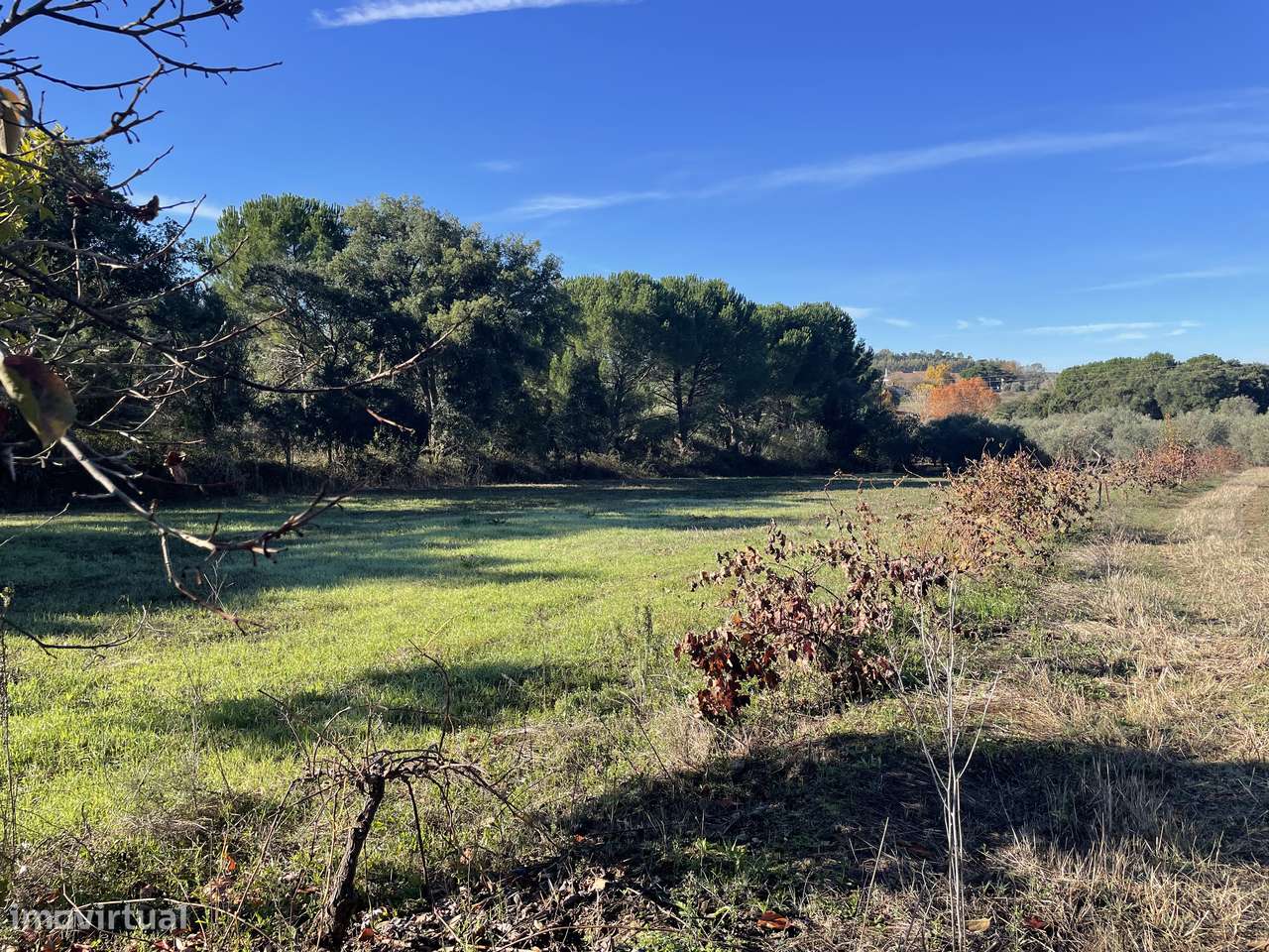 Terreno Rústico  20 000m2 Abrantes - Grande imagem: 4/42