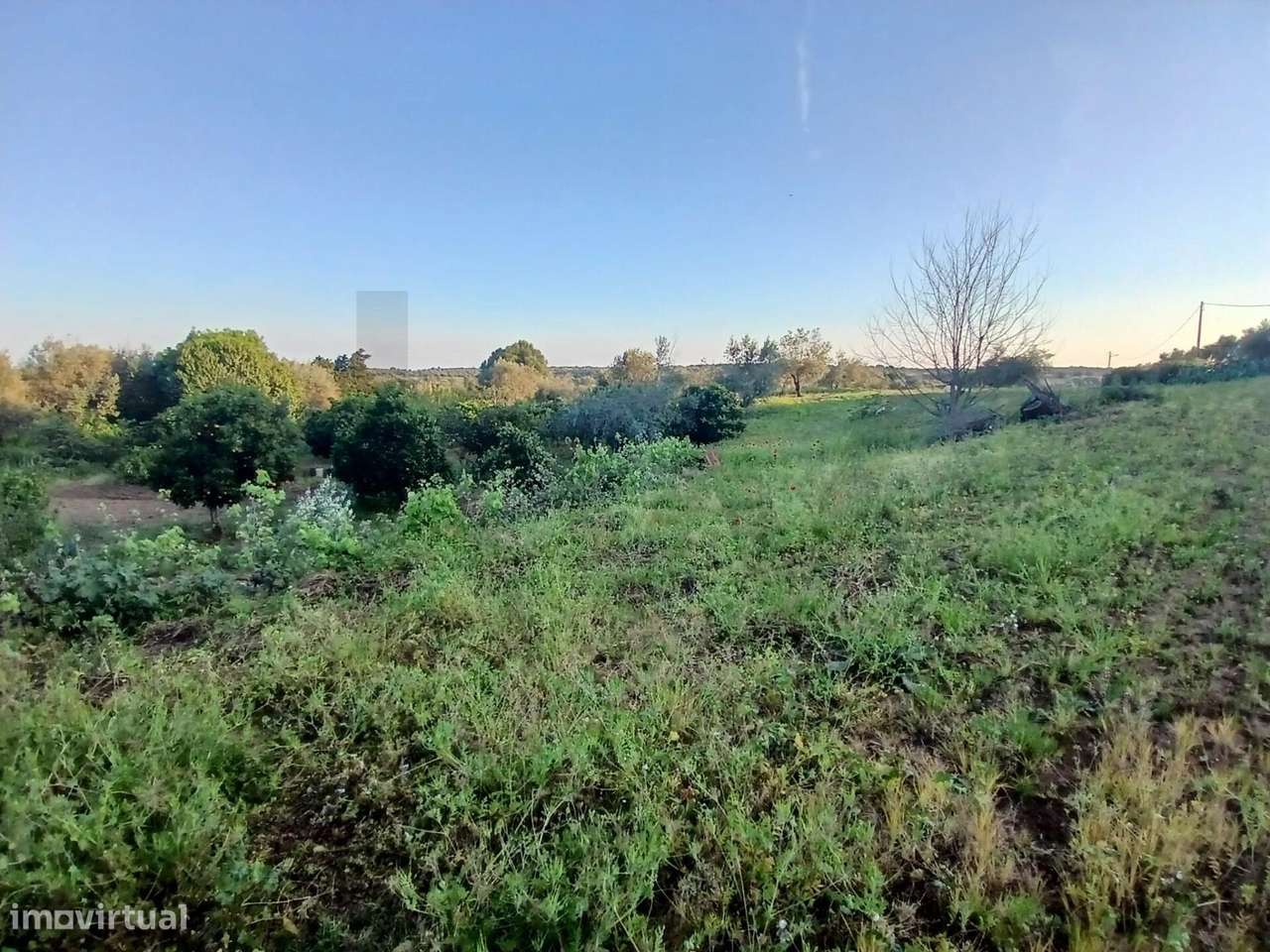 Herdade no Alentejo com 3 Casas e Terreno Agrícola – Torrão, Alcácer d - Grande imagem: 4/6