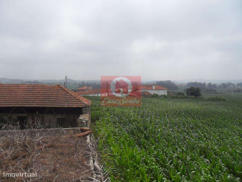 Quinta, para venda, Póvoa de Varzim - Rates - Grande imagem: 3/12