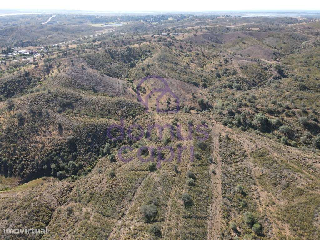 Terreno Rústico em Junqueira - Castro Marim - Grande imagem: 4/16