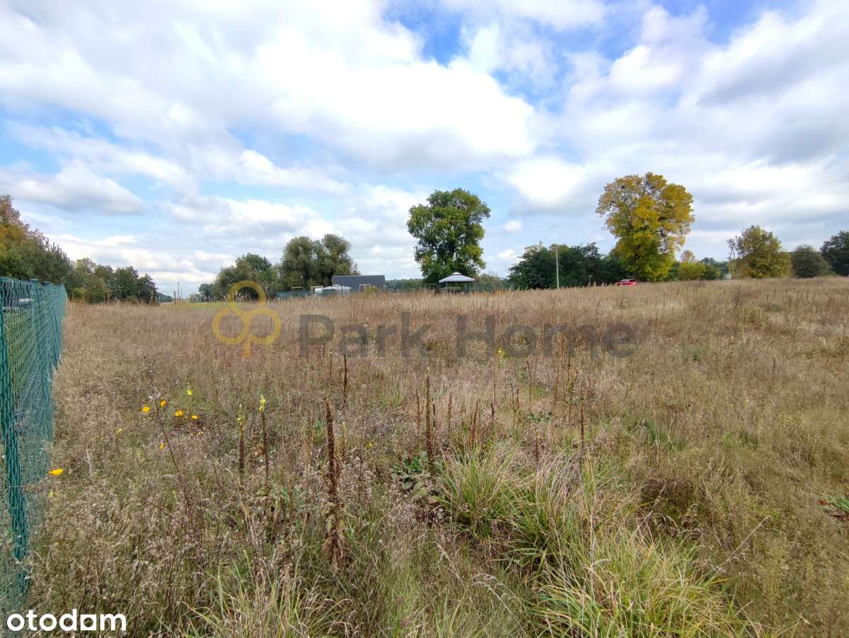 Działka w urokliwym miejscu blisko Dolska - Pełny obrazek: 5/5