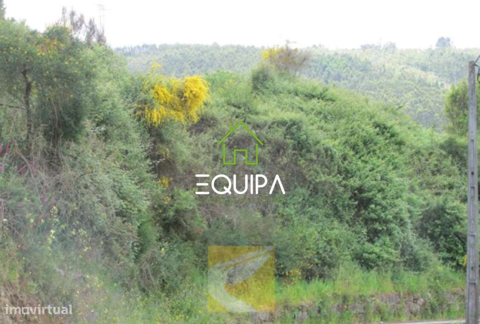 Terreno p/construção em S.Tomé de Negrelos - Grande imagem: 4/6