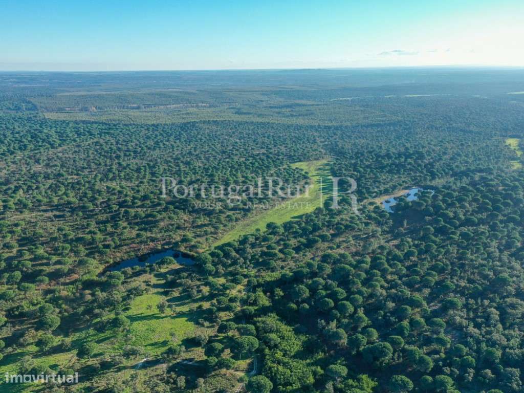 Herdade com 659 hectares com montado, pinhal e várzeas em Vendas Novas - Grande imagem: 5/28