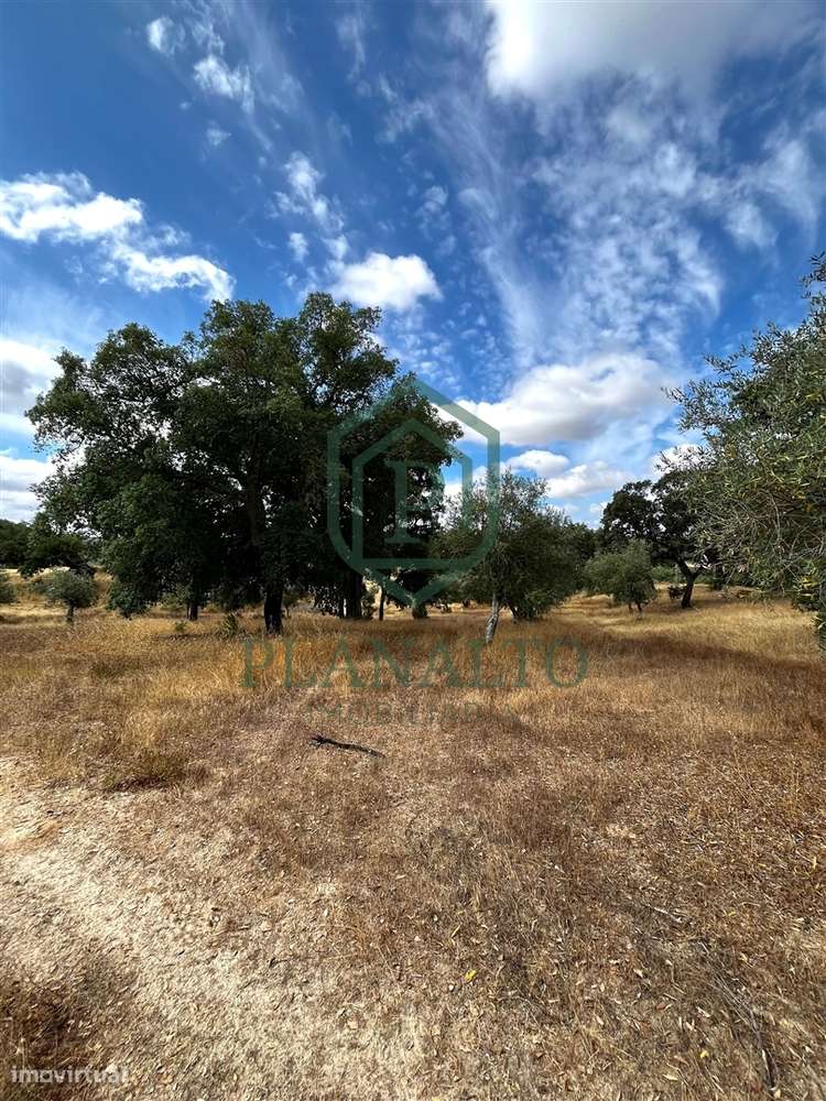 Quinta >=T10 Venda em Cortiçadas de Lavre e Lavre,Montemor-o-Novo-17