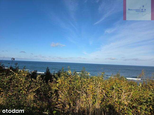 600m od plaży- Jastrzębia Góra (Klonowa)-13