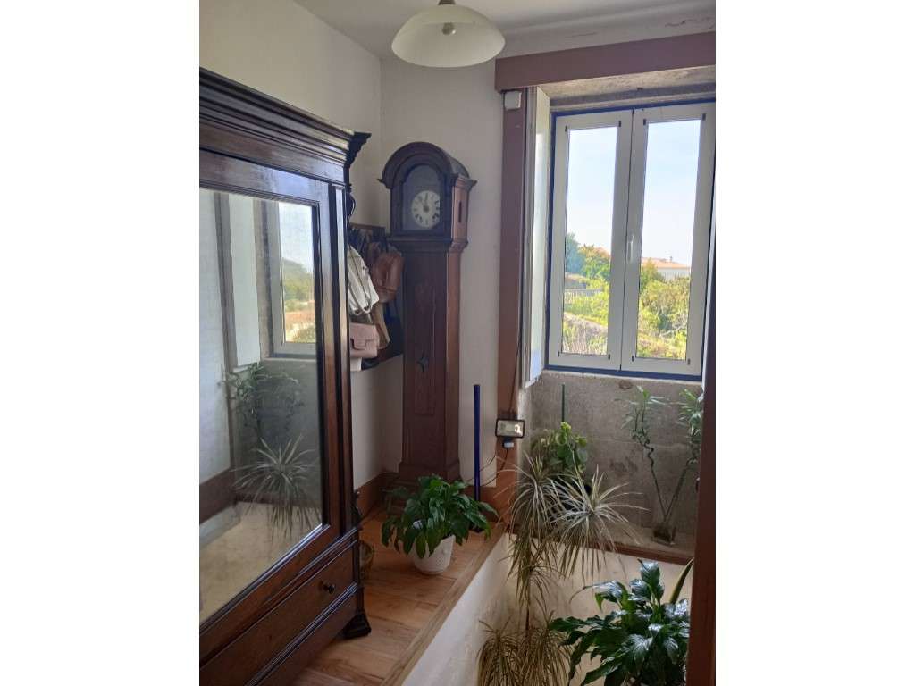 Moradia rústica / Terroso-19