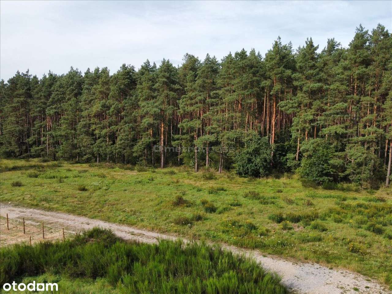 Uzbrojona działka pod lasem pod Kołobrzegiem - Pełny obrazek: 4/18