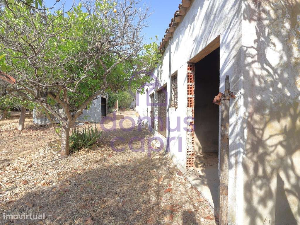 Moradia T2 + 2 para renovar em Arroio - Luz de Tavira-19