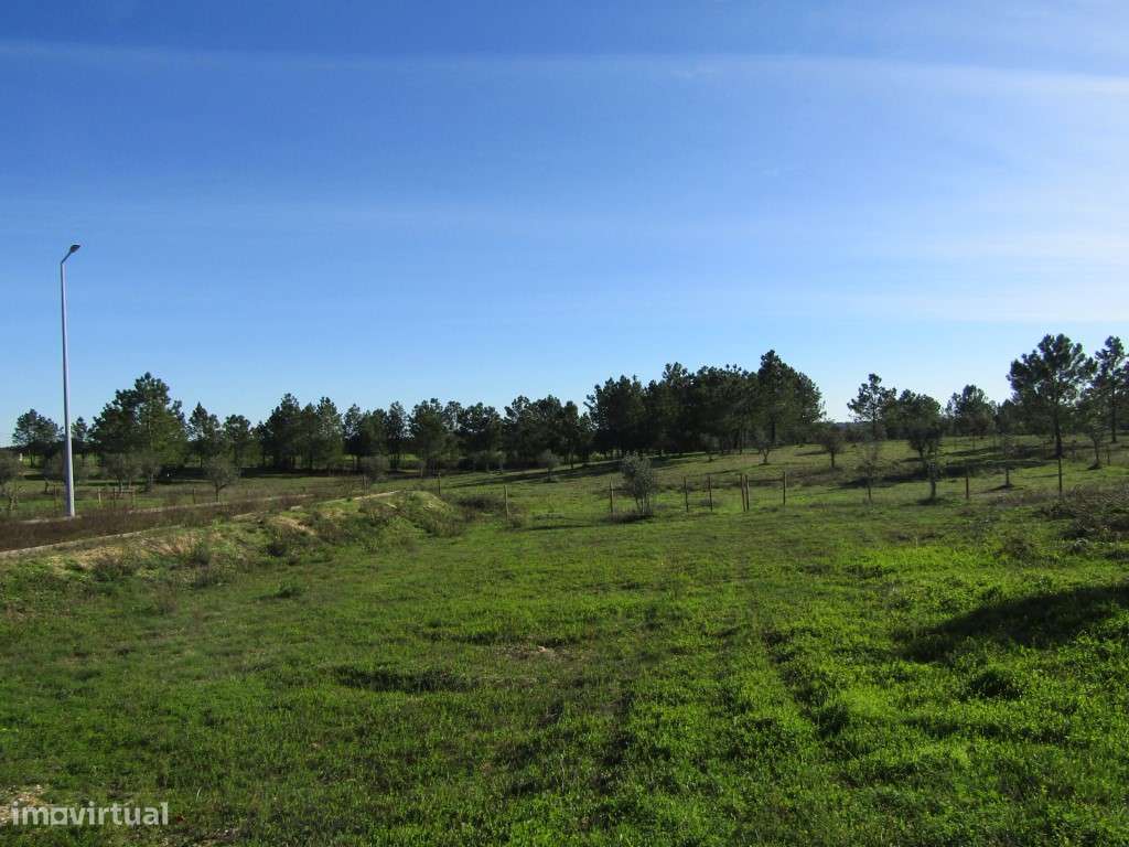 Lote para Construção-5