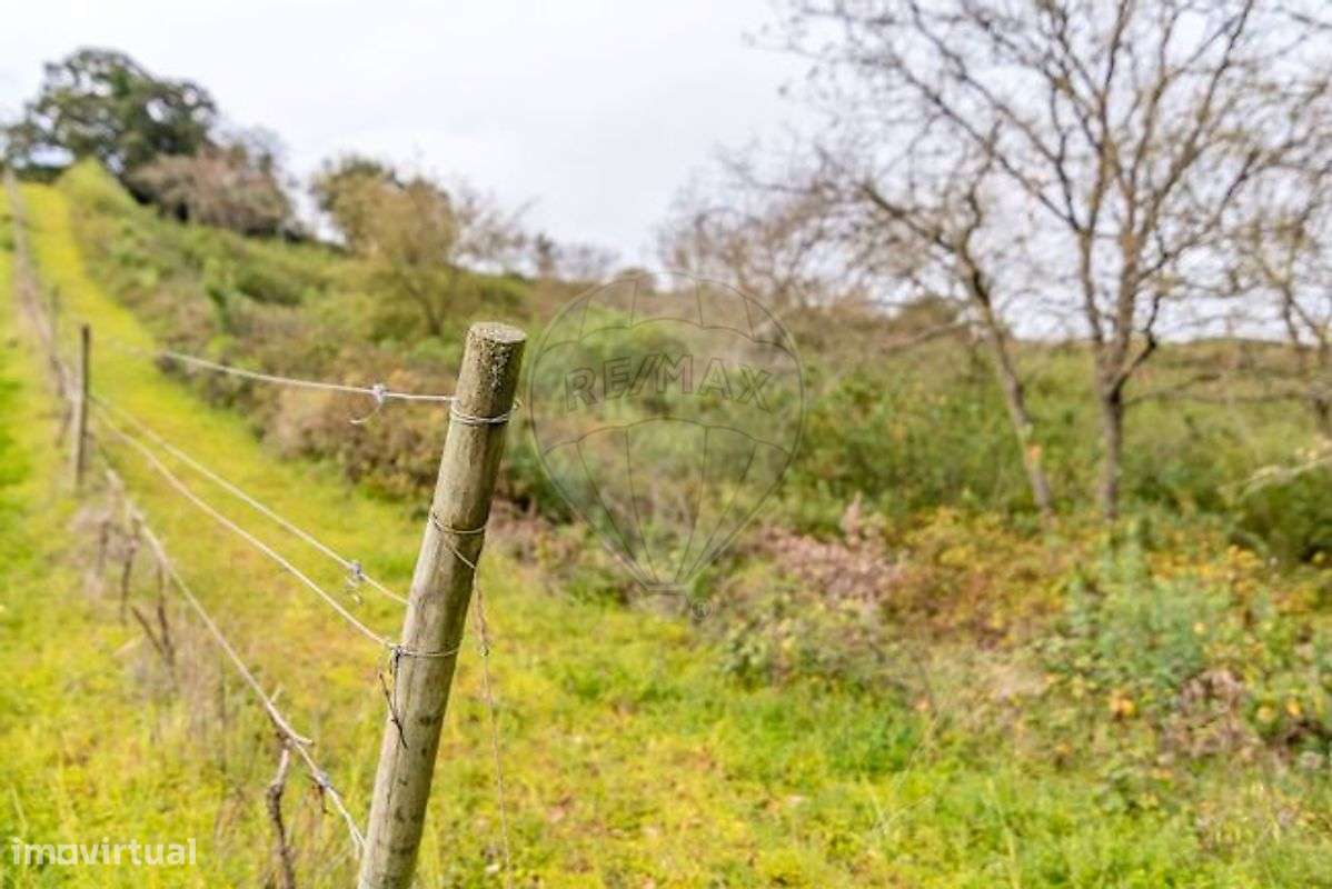 Terreno  para venda-9