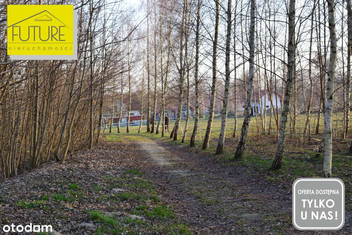 Działka pod agroturystykę 4km do Mikoszewa-10