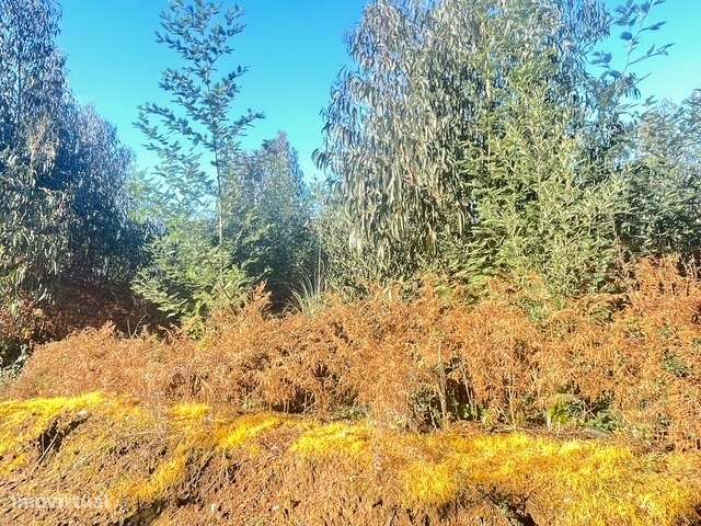 Terreno  Venda em Canelas,Vila Nova de Gaia-7