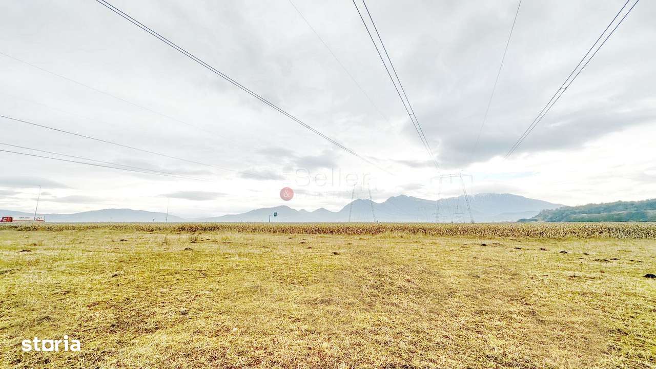 Teren Intravilan - Pretabil Constructie Industriala - Imagine principală: 3/11