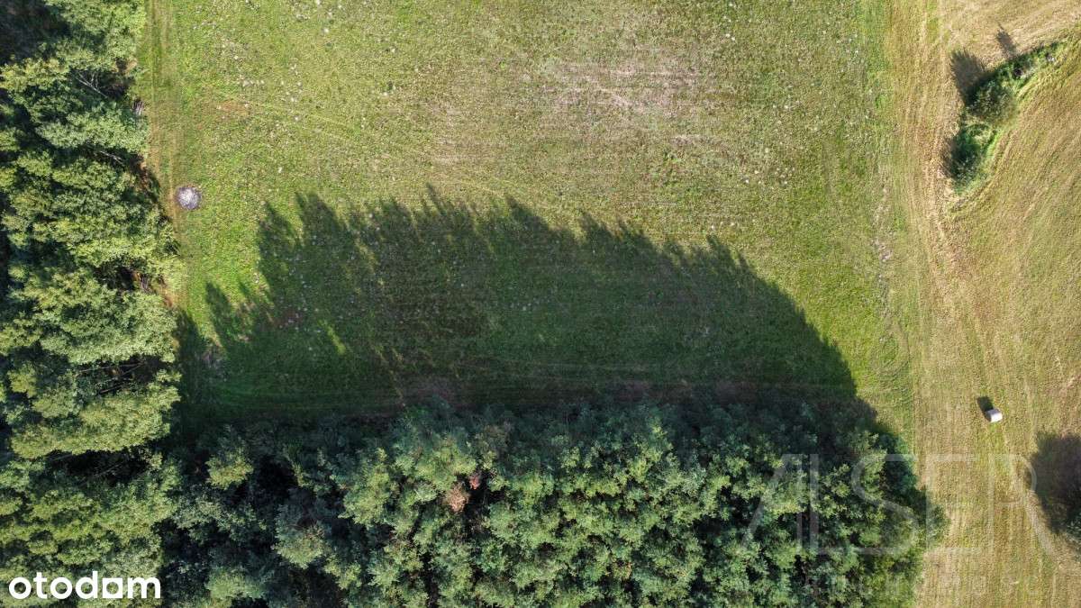 Pozostała ostatnia działka budowlana | Na uboczu - Pełny obrazek: 5/17