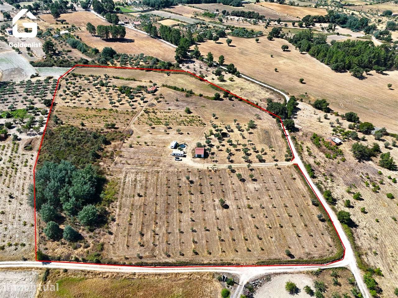 Quinta  Venda em Lardosa,Castelo Branco-53