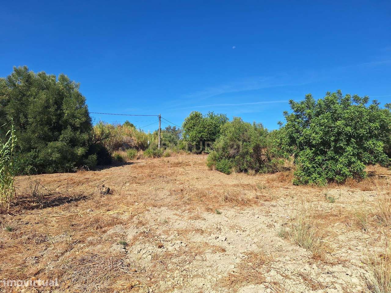 Terreno rústico na Foupana, em Moncarapacho - Grande imagem: 5/9