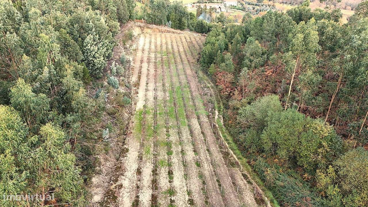 Terreno  para venda - Grande imagem: 4/7