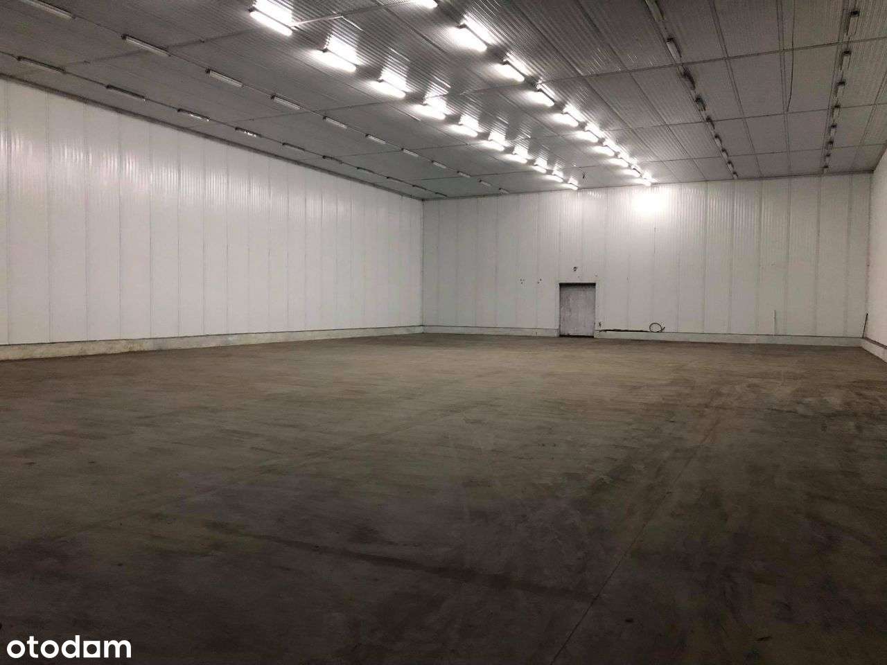 Wynajmę Magazyn Hale produkcyjno magazynowe różne - Pełny obrazek: 5/5