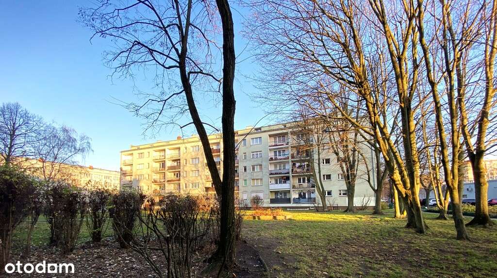 3pok/niski blok/centrum-10