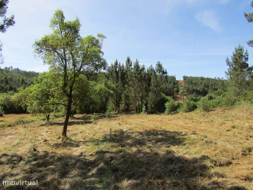 P26-238 Casal da Loba - Terreno Urbanizável no Centro de Portugal e...-15