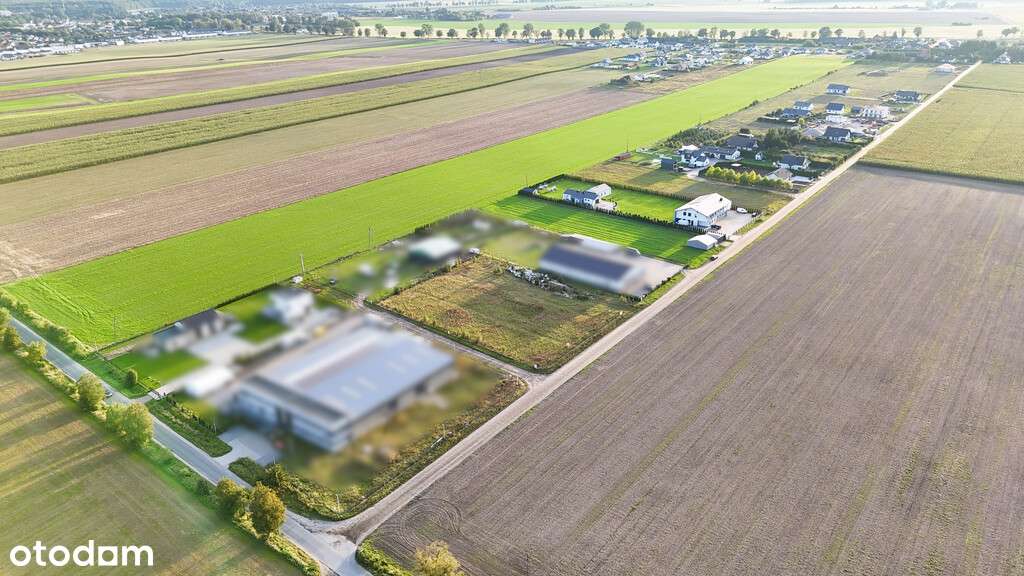 Działki inwestycyjne z WZ Złotów / Dzierzążenko - Pełny obrazek: 5/6