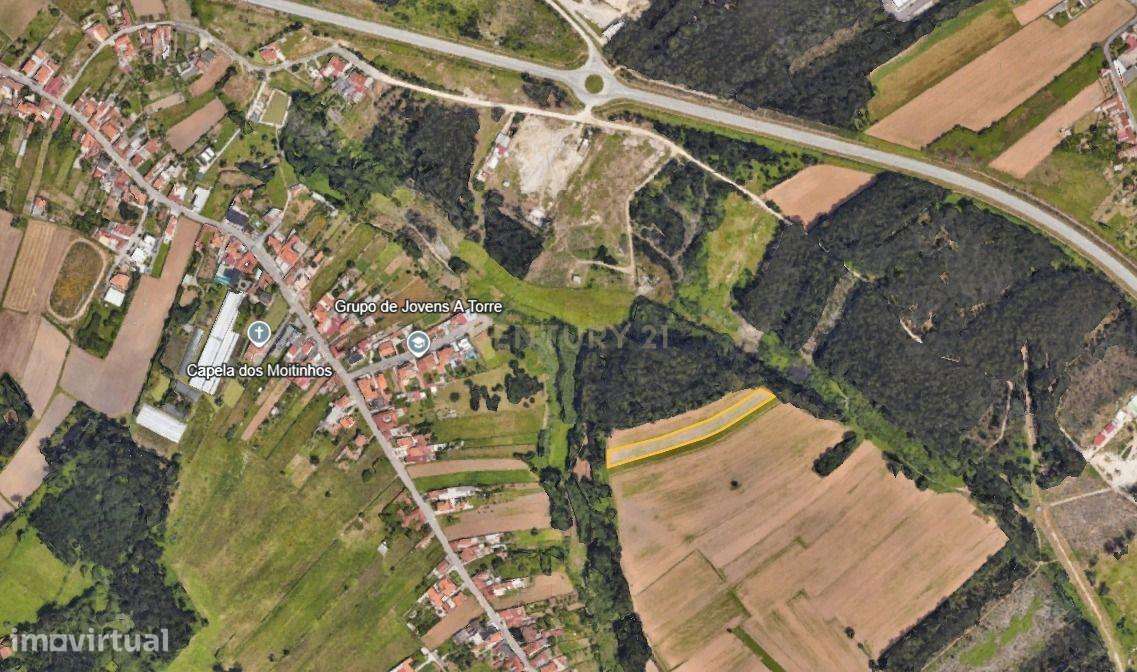 Terreno Agrícola em Ílhavo com Vista Campestre - Grande imagem: 4/6