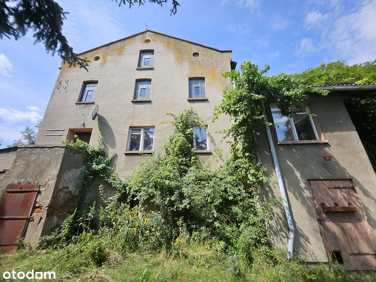 Gorzelnia w Buczu - Pełny obrazek: 2/20