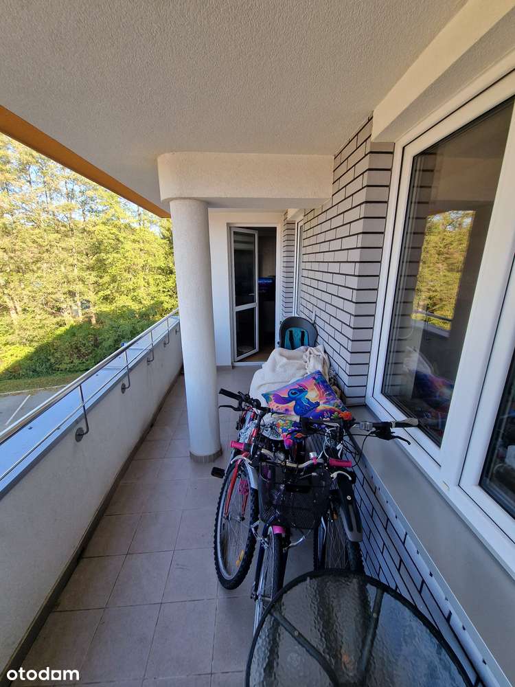 3 pokoje + komórka Wygoda ul 42 Pułku Piechoty 131A - Pełny obrazek: 5/9