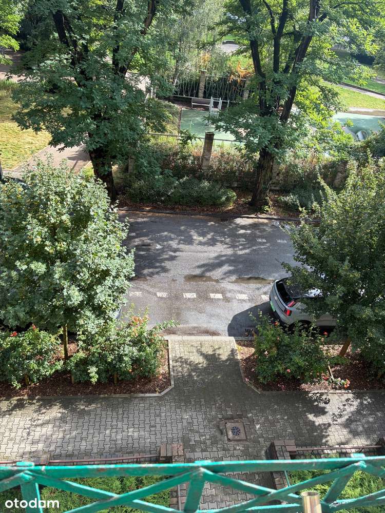 słoneczne duże mieszkanie z 2 balkonami - Pełny obrazek: 5/20