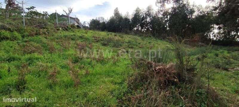 Terreno / Marco de Canaveses, Várzea, Aliviada e Folhada - Grande imagem: 4/12