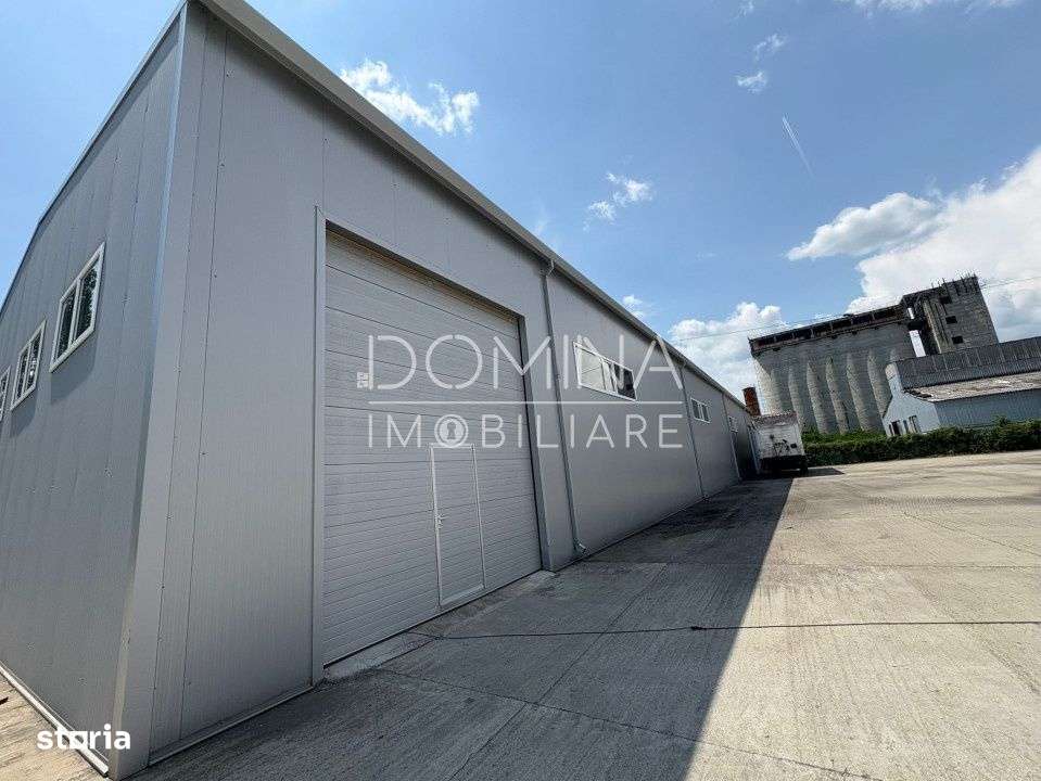 Complex industrial multifunctional – pozitie strategica, Targu Jiu - Imagine principală: 3/10