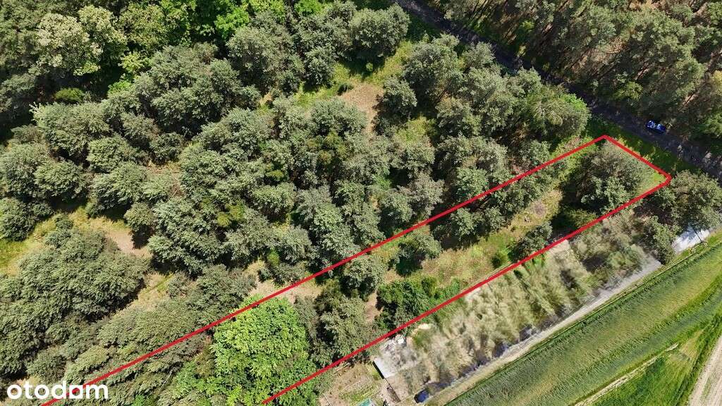 Działka budowlana z lasem - Janków Drugi - Pełny obrazek: 4/8