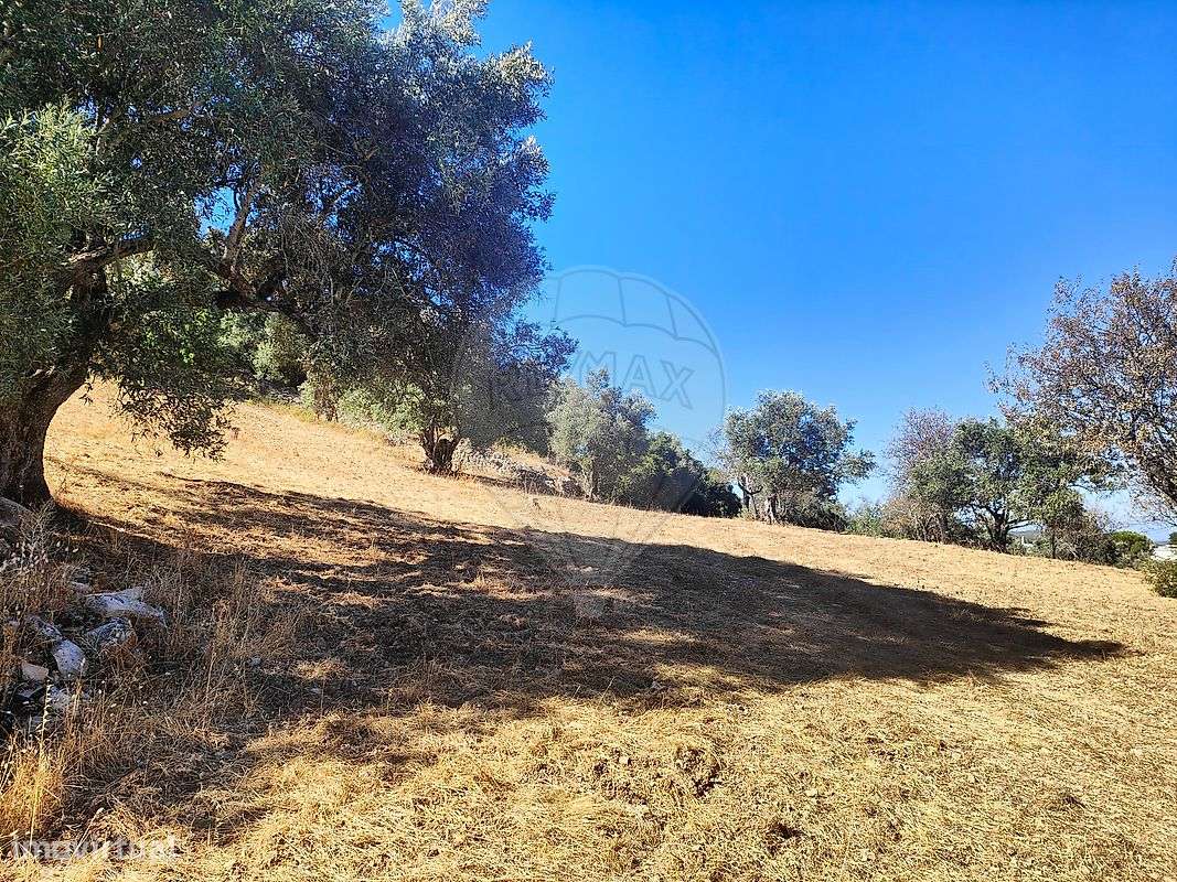 Terreno  para venda - Grande imagem: 5/12