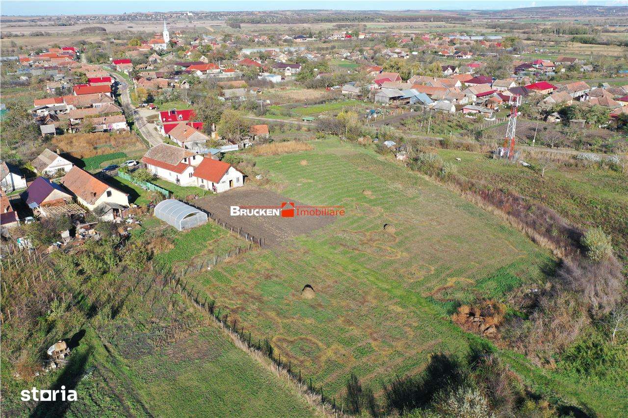 TEREN PENTRU CONSTRUCTIE CASE - Imagine principală: 4/5