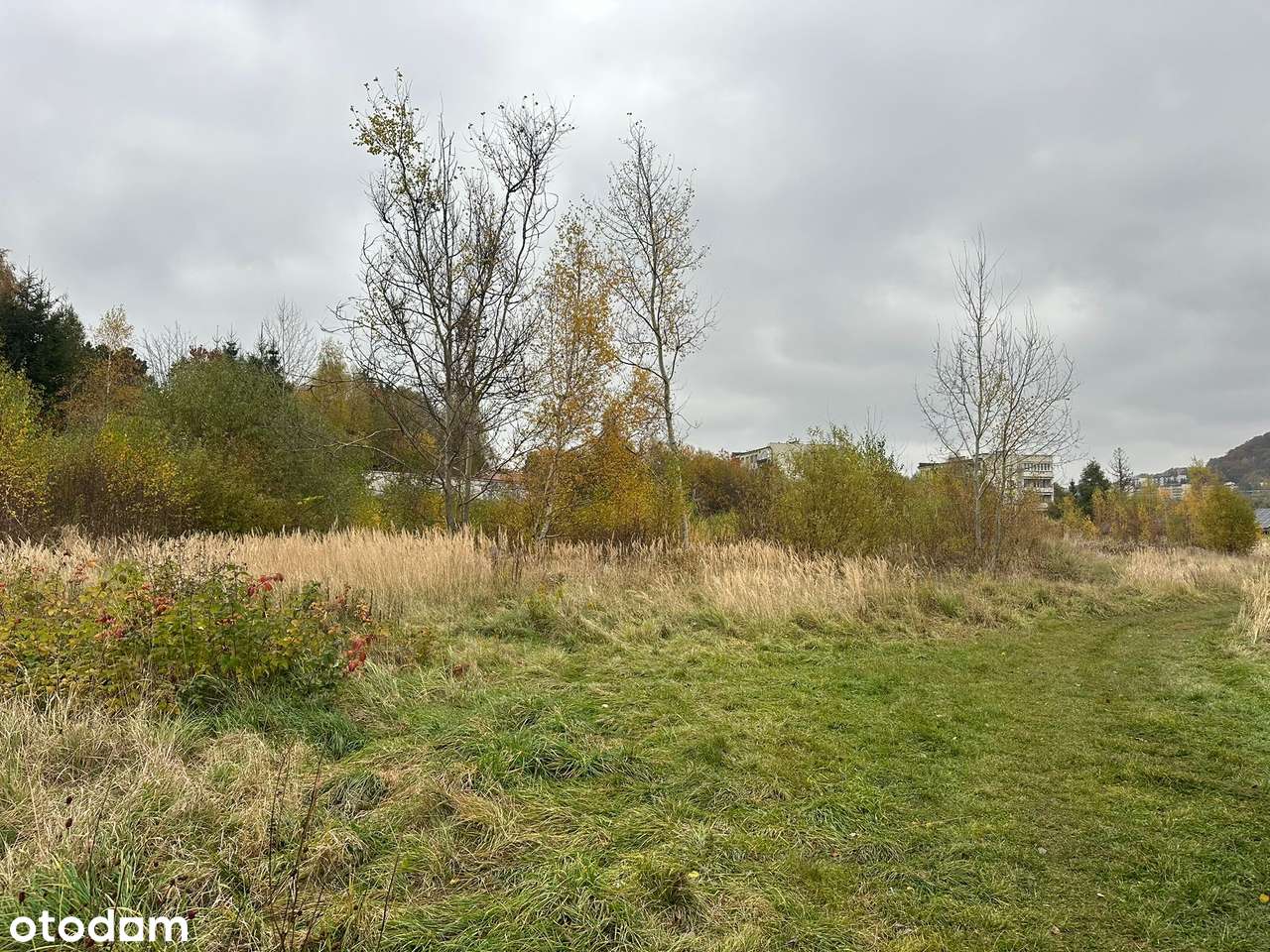 Działka pod zabudowę wielorodzinną ,4560PUM-okazja-5