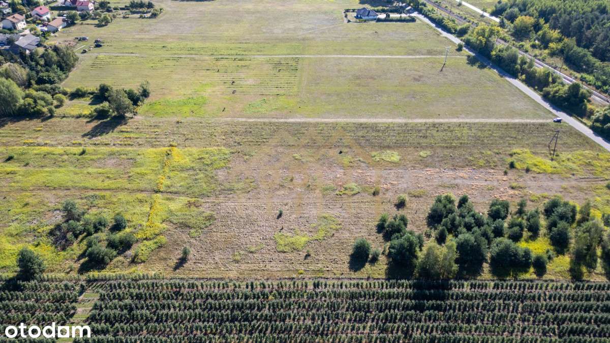 Działka po inwestycję/Czarny Las/Góra Kalwaria - Pełny obrazek: 4/16