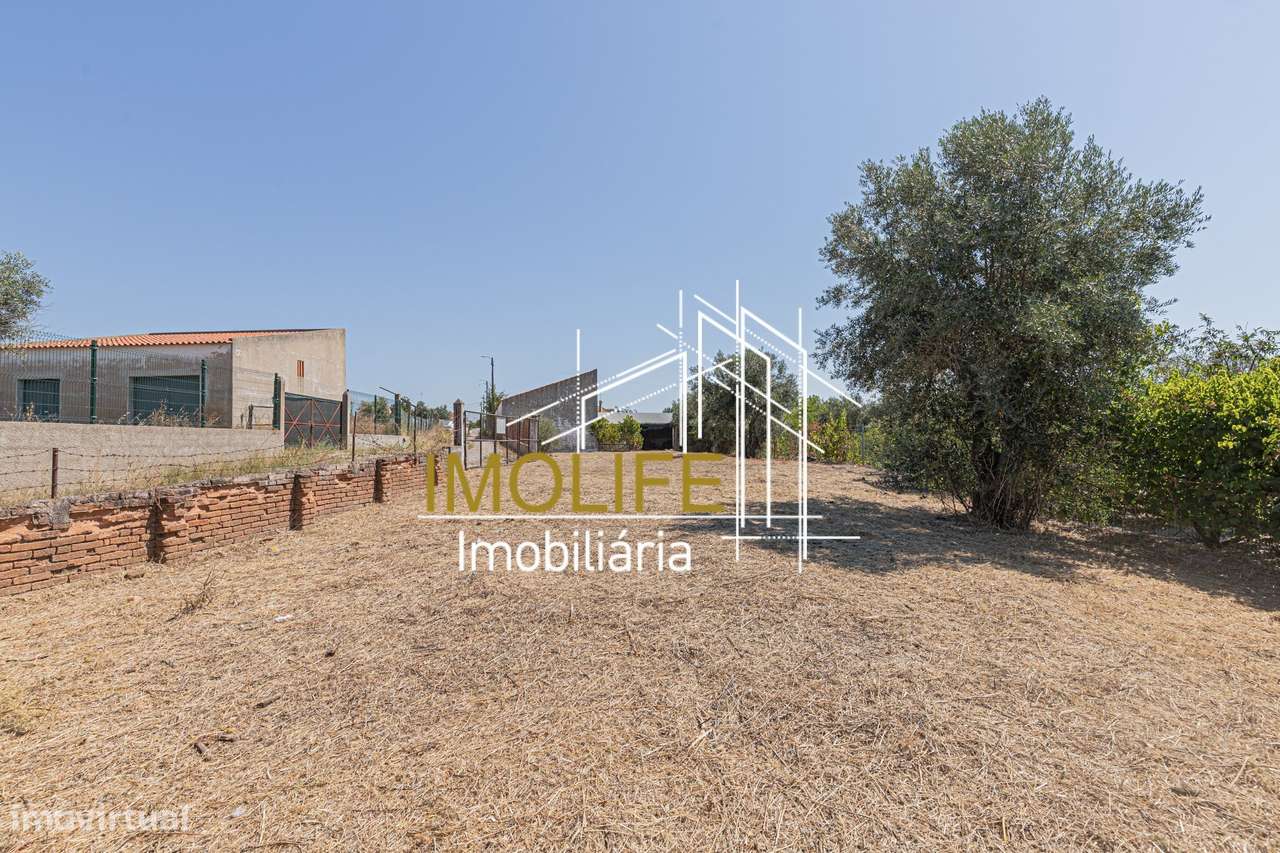 Armazém para venda em Cabeção-50