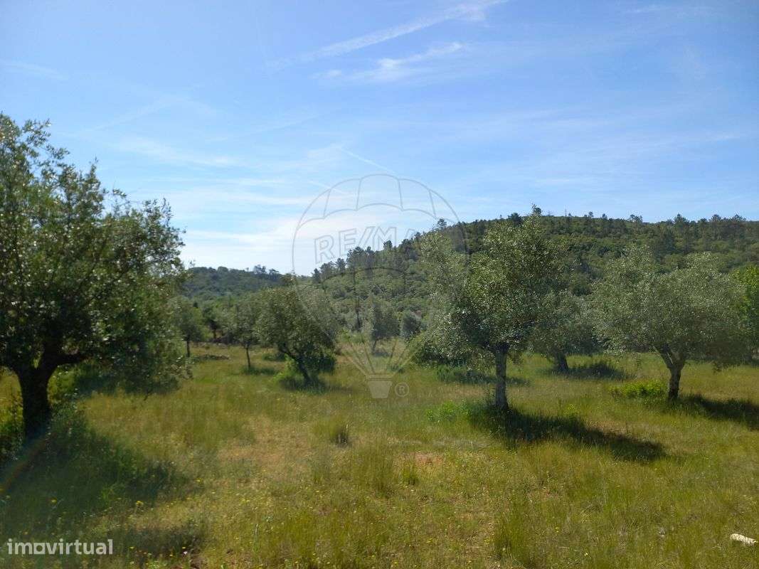 Moradia T2 para venda - Grande imagem: 4/18