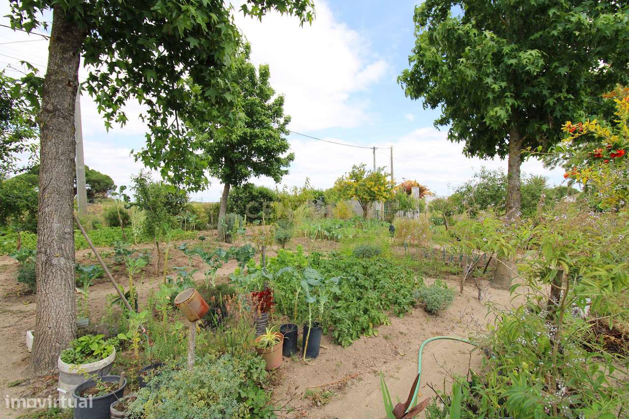 Quinta com Moradia Bi-familiar, construída num lote de 7.500 m2, em Pa-30