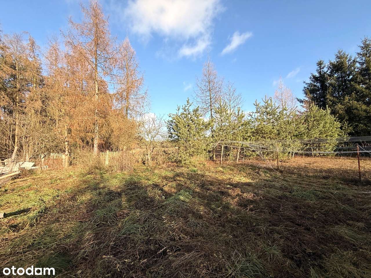 Dom z dużą działką i lasem w Nowinach Brdowskich - Pełny obrazek: 5/17