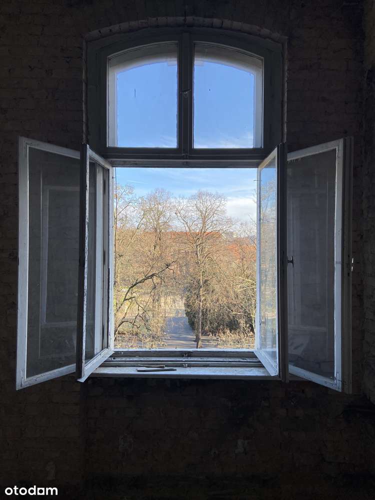 Łazarz Wyjątkowe mieszkanie 50 m² 3,7m wysokości widok na Park Wilsona