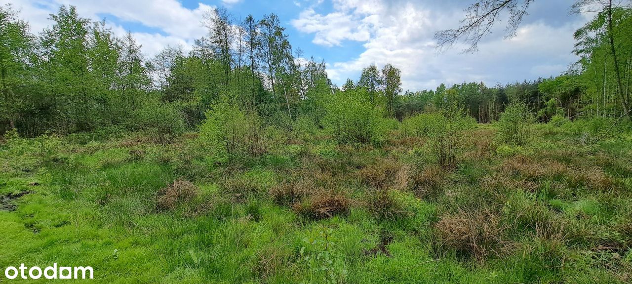 Borek działka budowlana 10argmina Rzezawa