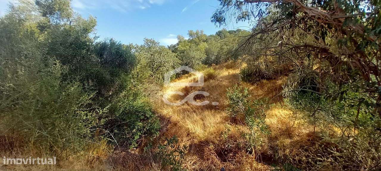 Magnifica Quinta com vista para o Rio Guadiana-19