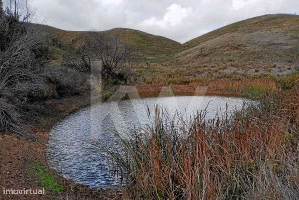 Cultura Arvense - Grande imagem: 3/10