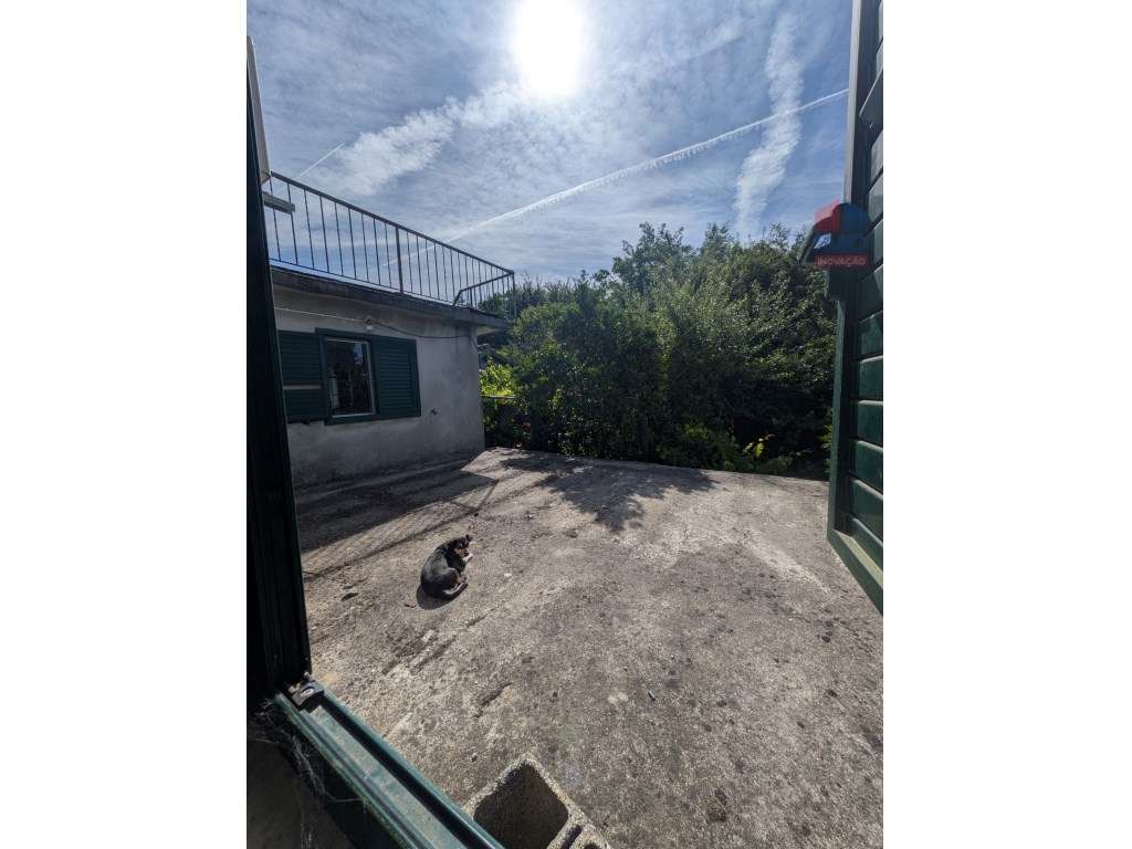 QUINTA COM MORADIA T3 PISCINA TERRENO E ANEXOS-31