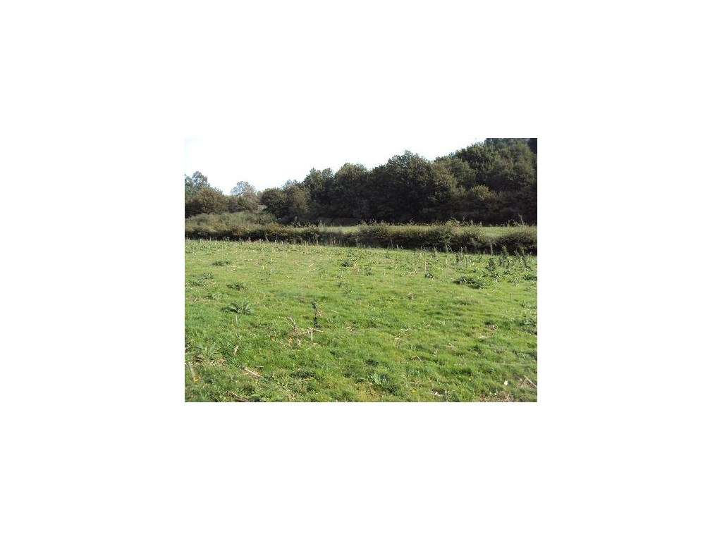 Terreno Agrícola em Paredes de Coura - Grande imagem: 5/6