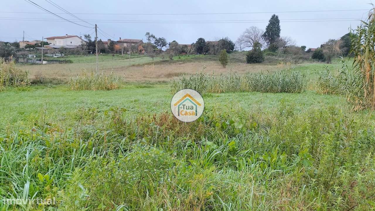 Terreno Rústico com Viabilidade de Construção - Grande imagem: 5/15