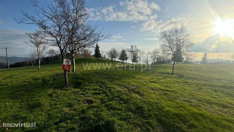 Terreno / Baião, Campelo e Ovil - Grande imagem: 4/7