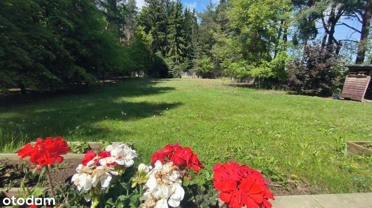 Dworek z Dużą zalesioną działką. Bardzo Polecamy - Pełny obrazek: 5/14